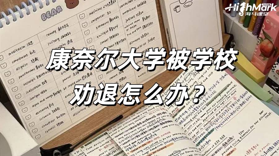 康奈尔大学被学校劝退怎么办?