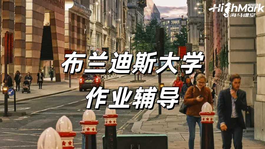 布兰迪斯大学作业辅导