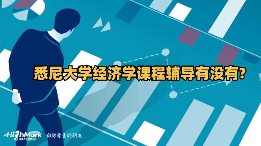 悉尼大学经济学课程辅导有没有?