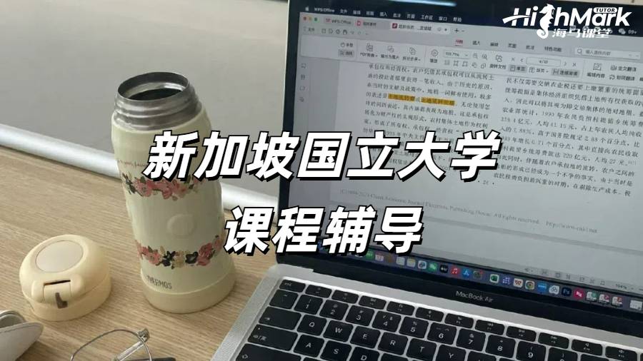 新加坡大学文科课程辅导
