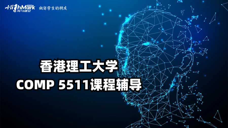 香港理工大学COMP 5511课程辅导