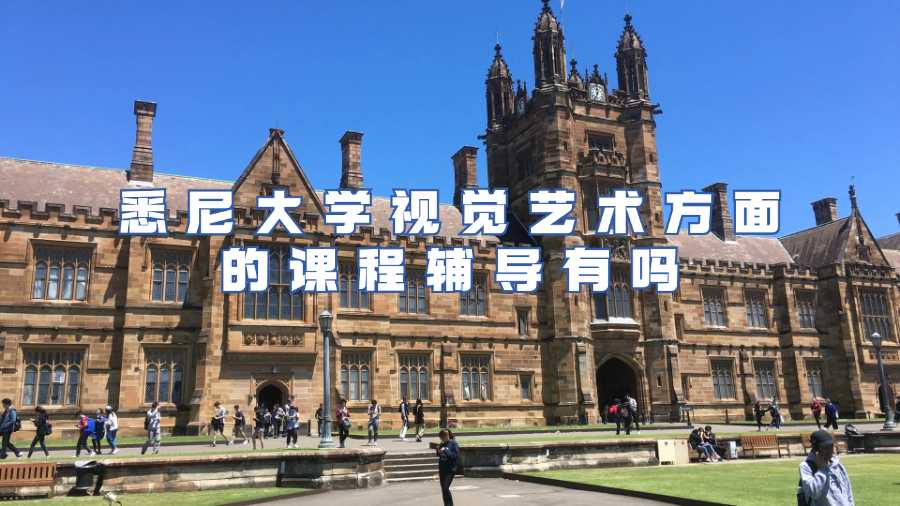悉尼大学视觉艺术方面的课程辅导有吗