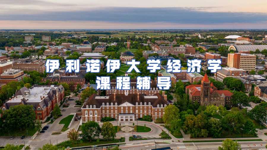 伊利诺伊大学经济学课程辅导
