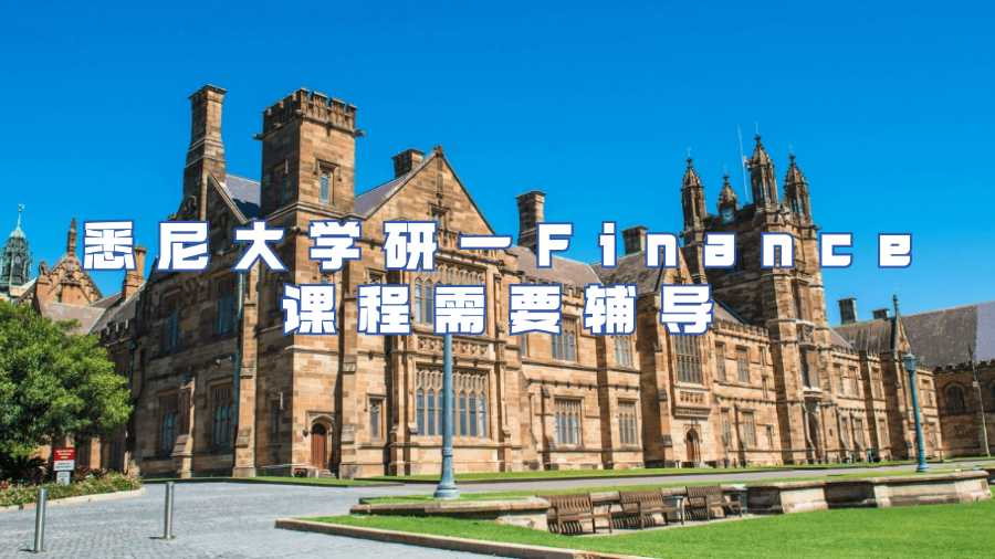 悉尼大学研一Finance课程需要辅导
