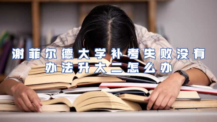 谢菲尔德大学补考失败没有办法升大二怎么办