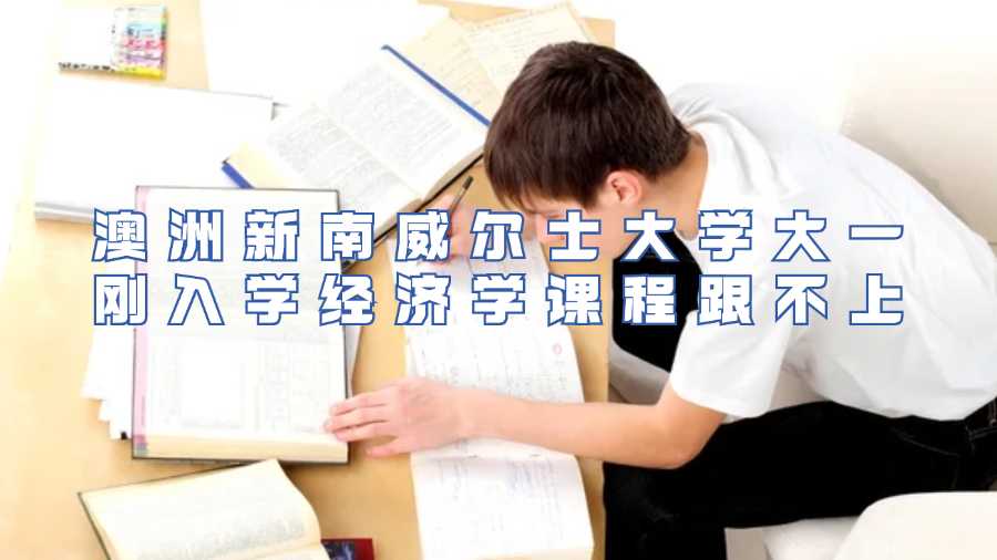 澳洲新南威尔士大学大一刚入学经济学课程跟不上
