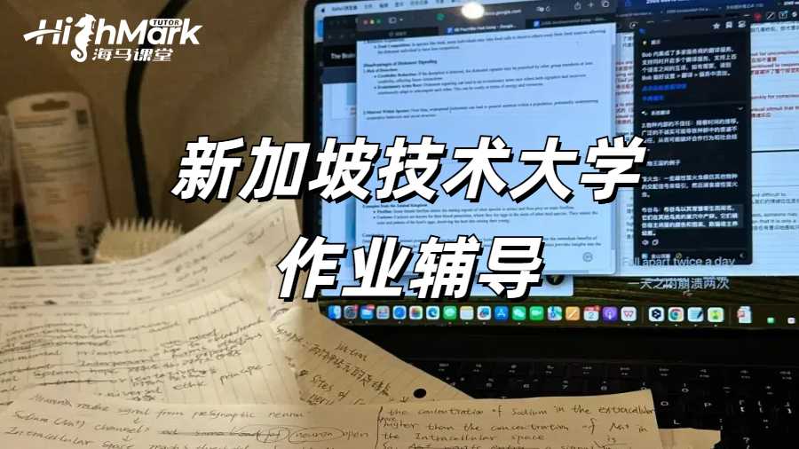 留学生作业辅导