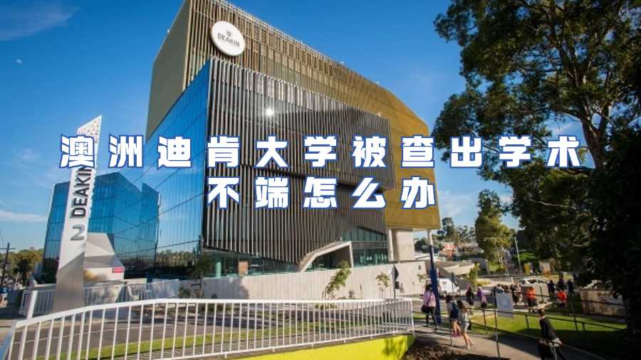 澳洲迪肯大学被查出学术不端怎么办