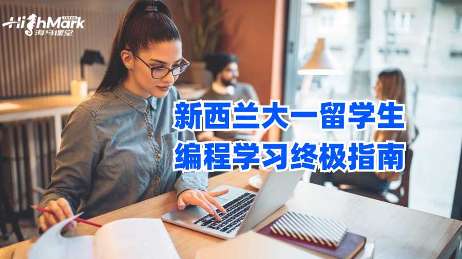 新西兰大一留学生编程学习终极指南