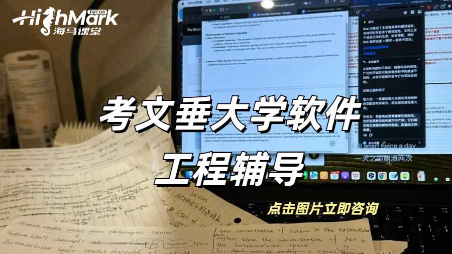 考文垂大学软件工程辅导