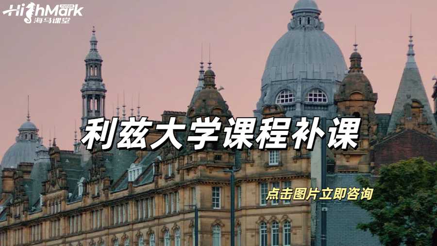 利兹大学课程听不懂补课指南