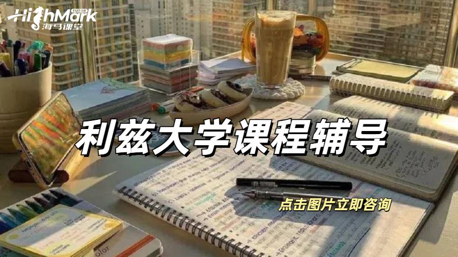 利兹大学经济与金融课程可以辅导吗？
