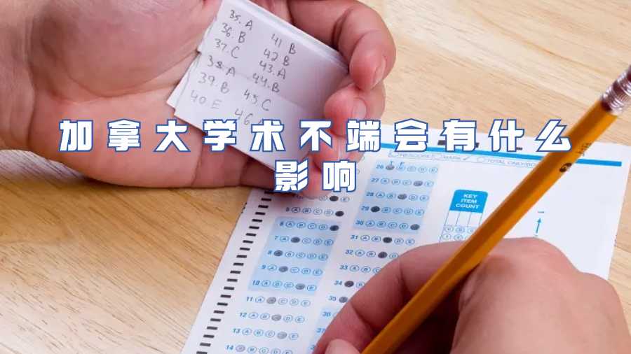 加拿大学术不端会有什么影响
