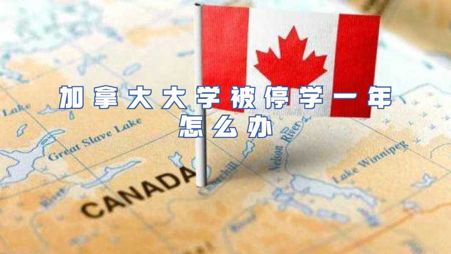 加拿大大学被停学一年怎么办