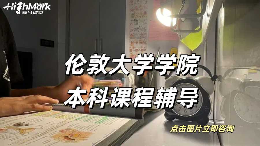 伦敦大学学院本科课程辅导