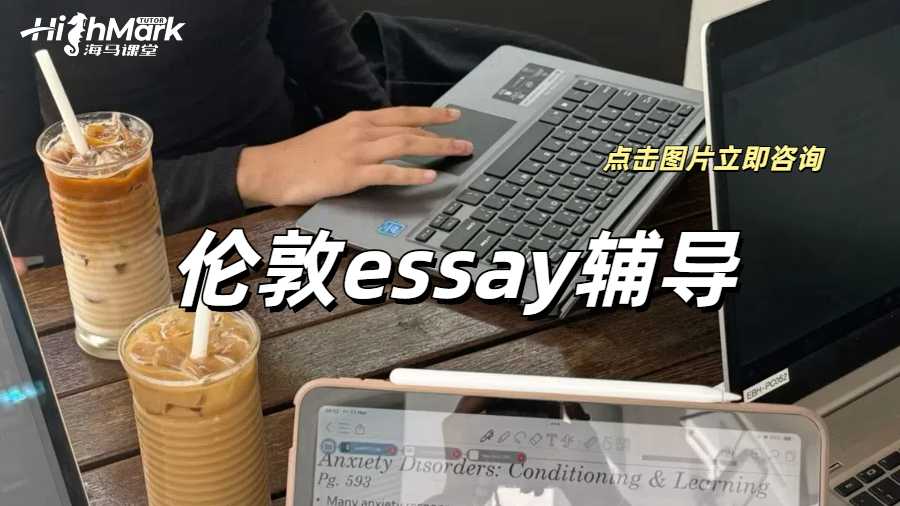 伦敦保姆级Essay辅导，包会的！
