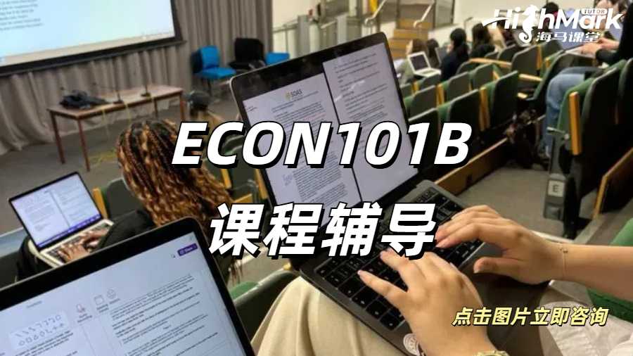 ECON101B课程辅导