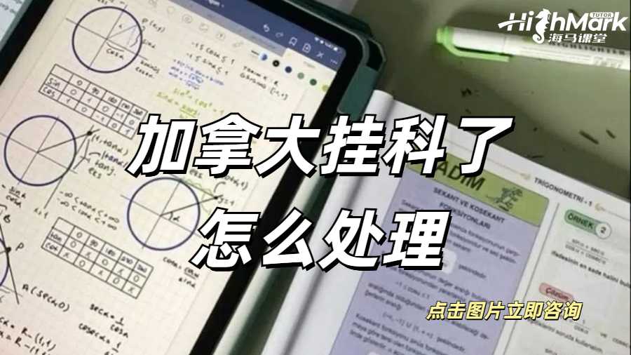 加拿大挂科了怎么处理
