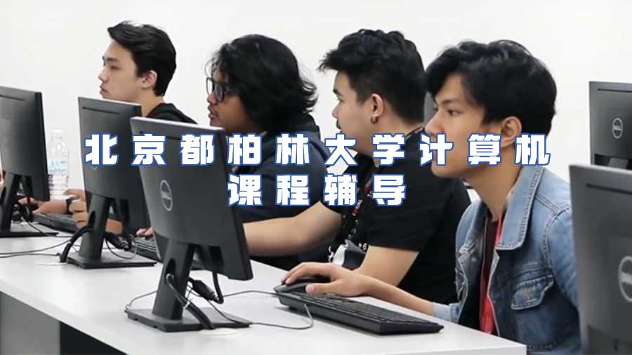 北京都柏林大学计算机课程辅导