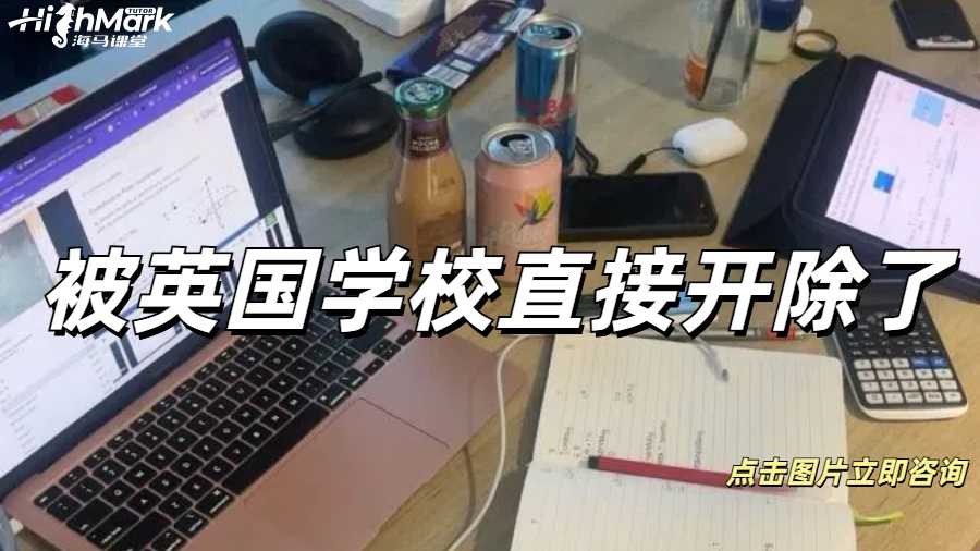 被英国学校直接开除了怎么办？