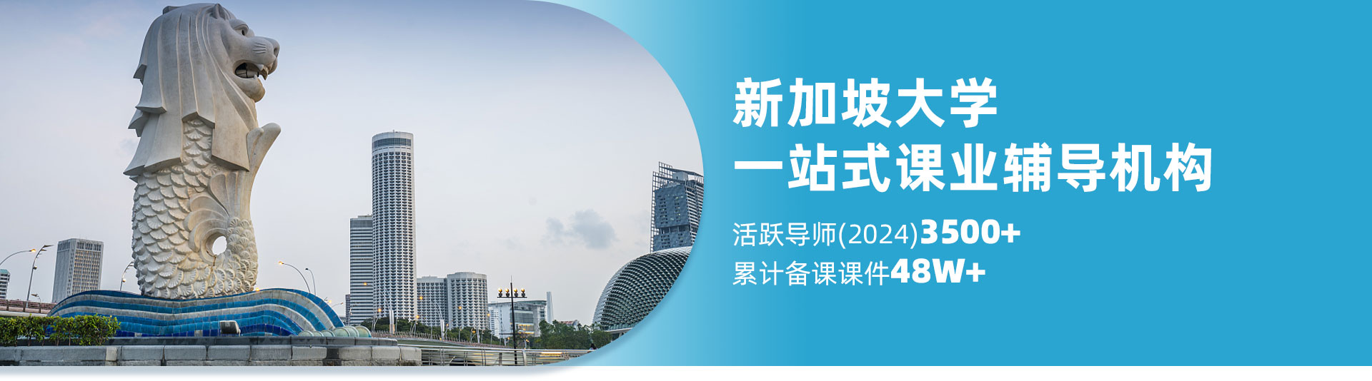 新加坡大学辅导