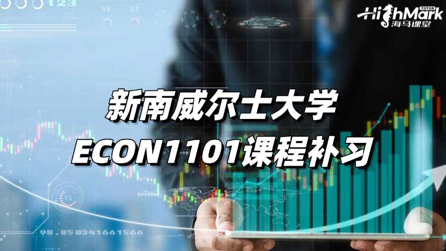 新南威尔士大学ECON1101课程补习