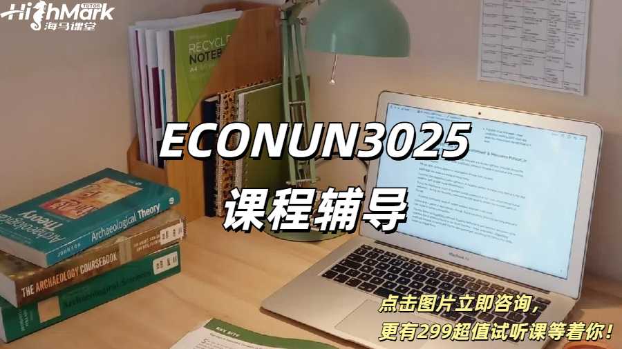 ECONUN3025课程辅导