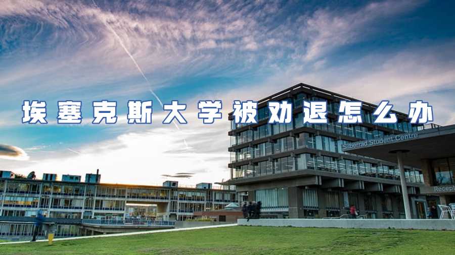 埃塞克斯大学被劝退怎么办