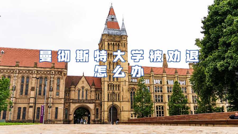 曼彻斯特大学被劝退怎么办