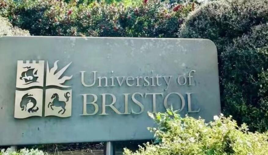 布里斯托大学被劝退怎么办