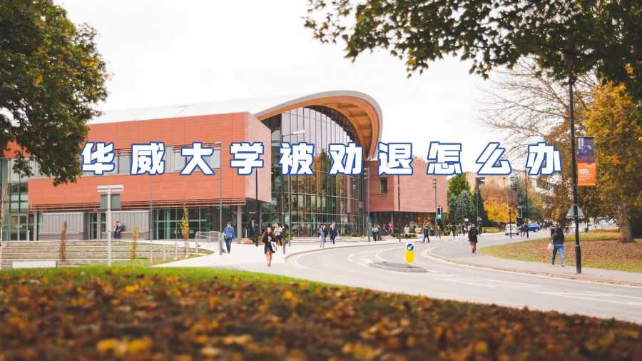 华威大学被劝退怎么办