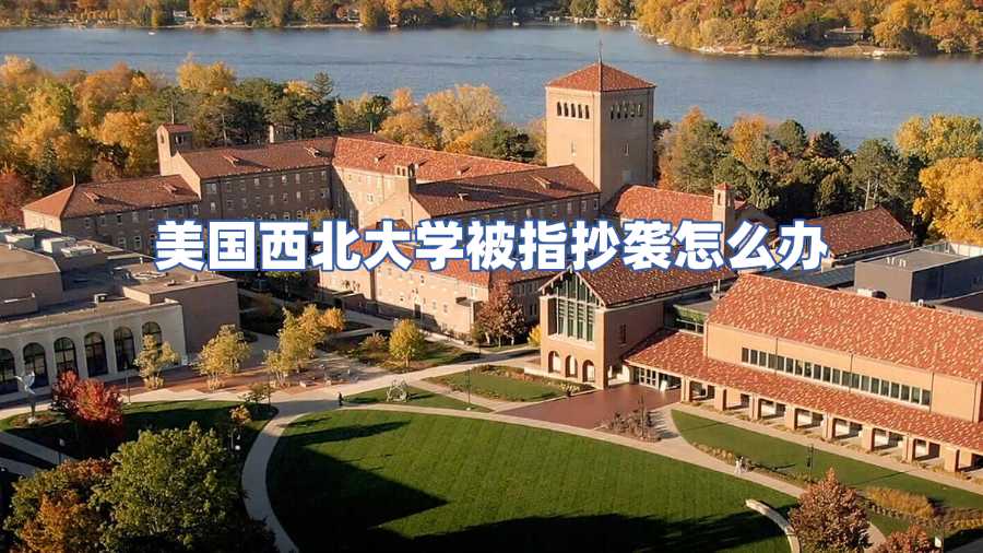 美国西北大学被指抄袭怎么办
