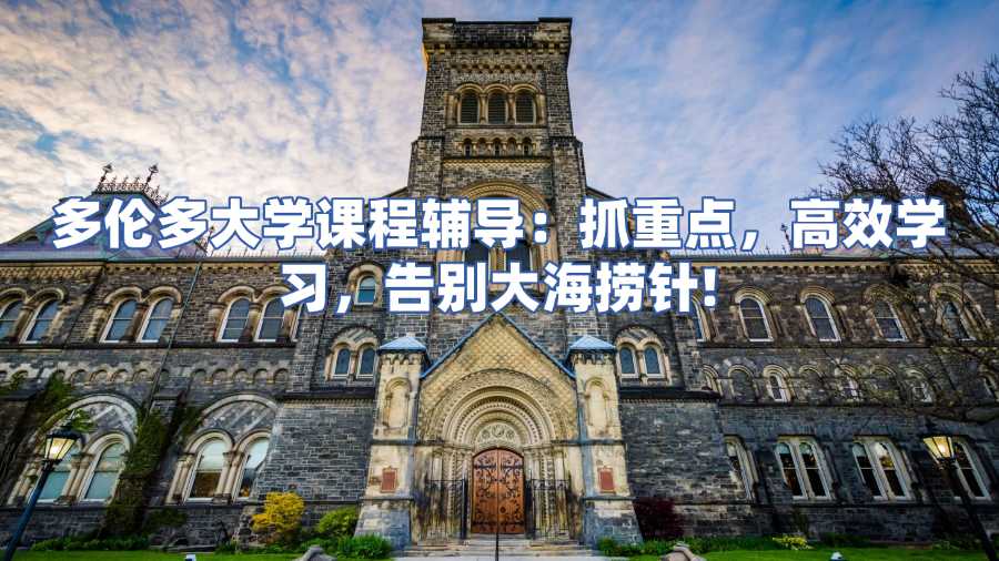 多伦多大学课程辅导