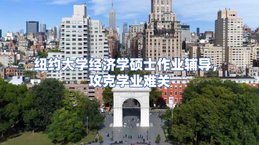 纽约大学经济学硕士作业辅导