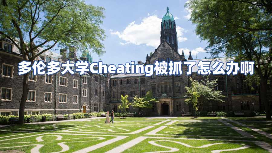 多伦多大学Cheating被抓了怎么办啊