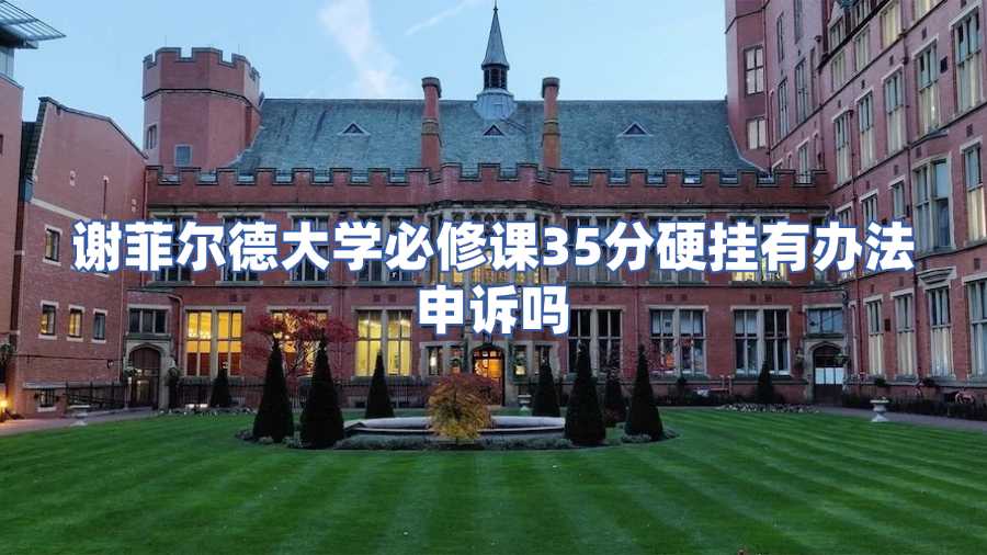 谢菲尔德大学必修课挂科