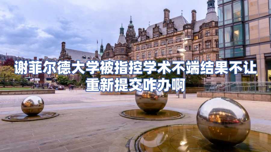 谢菲尔德大学被指控学术不端结果不让重新提交咋办啊