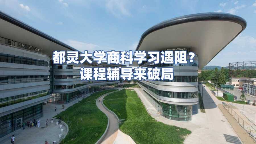 都灵大学商科课程辅导