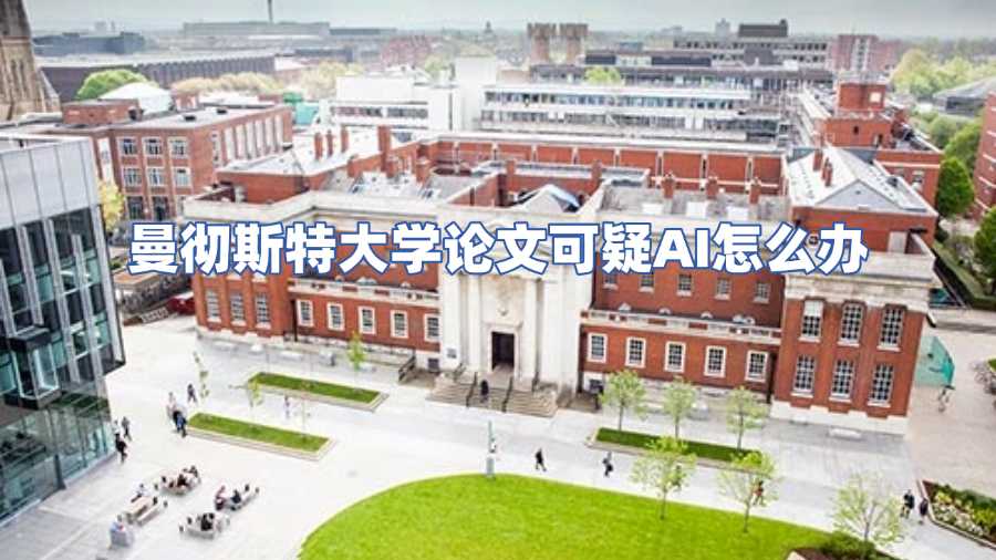 曼彻斯特大学学术不端