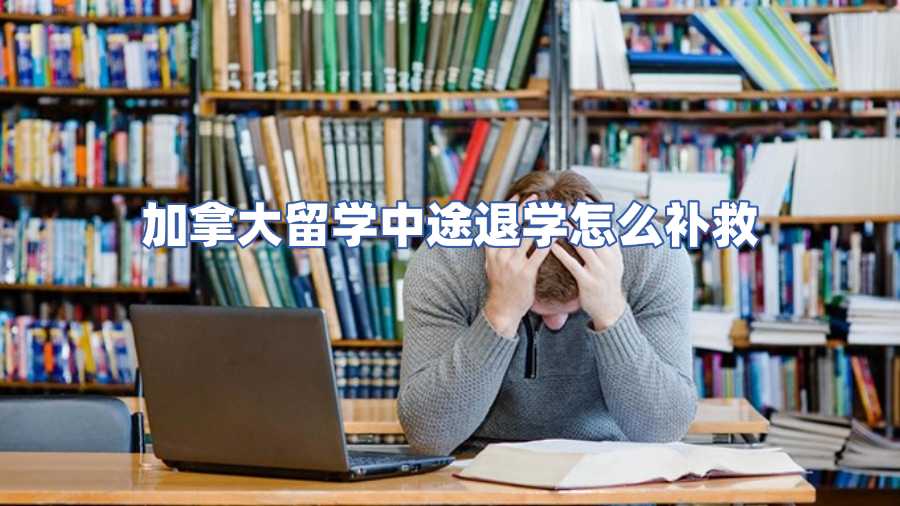 加拿大留学中途退学怎么补救