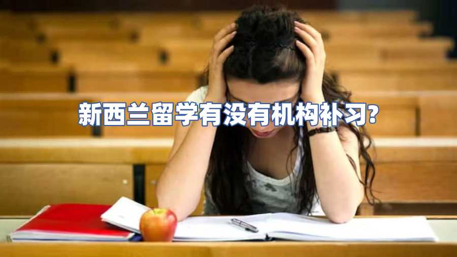 新西兰留学有没有机构补习