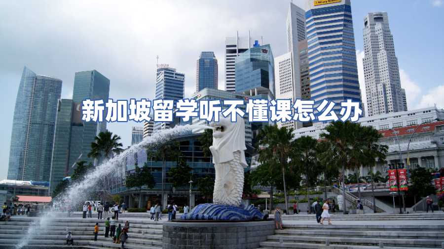 新加坡留学课程辅导