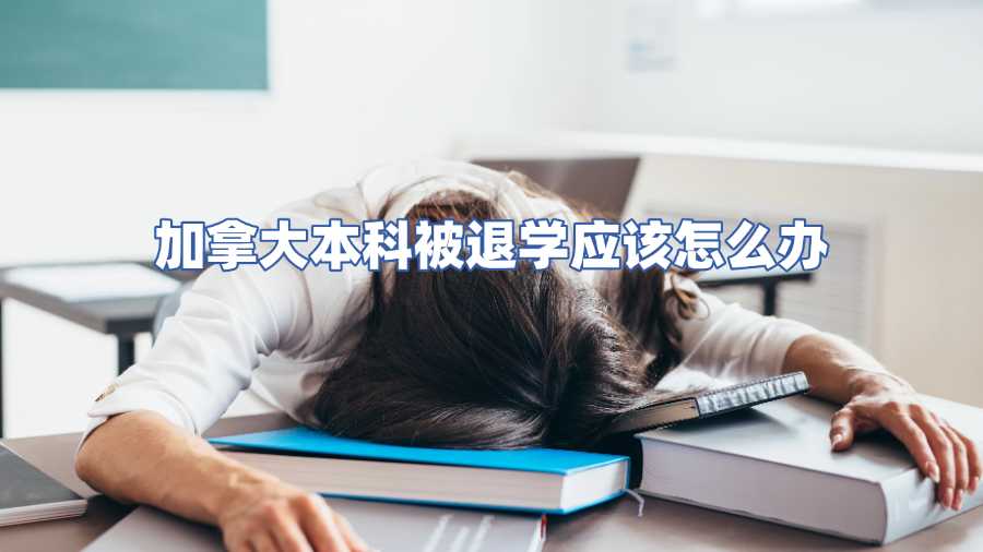 加拿大本科被退学应该怎么办