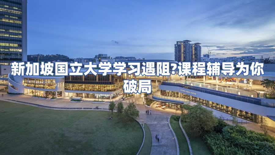 新加坡国立大学课程辅导