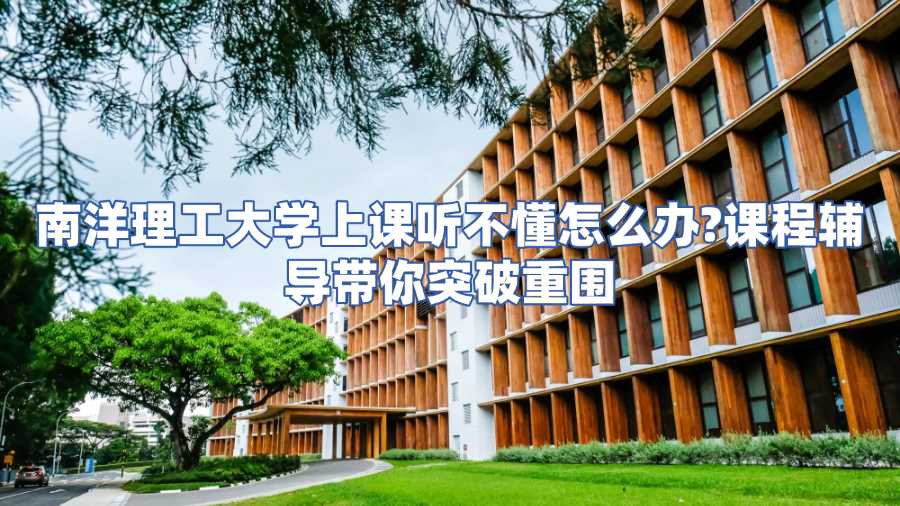 南洋理工大学课程辅导
