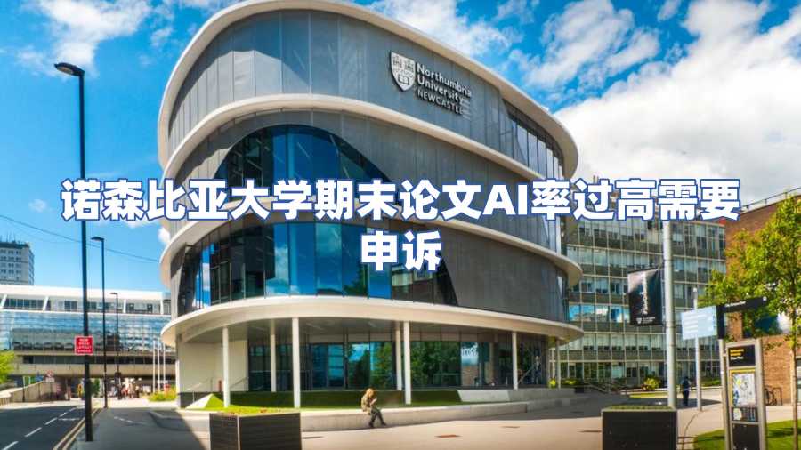诺森比亚大学期末论文AI率过高需要申诉