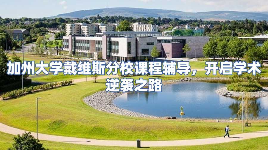 加州大学戴维斯分校课程辅导