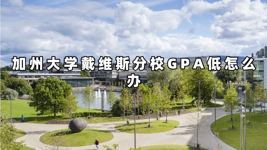 加州大学戴维斯分校GPA低怎么办