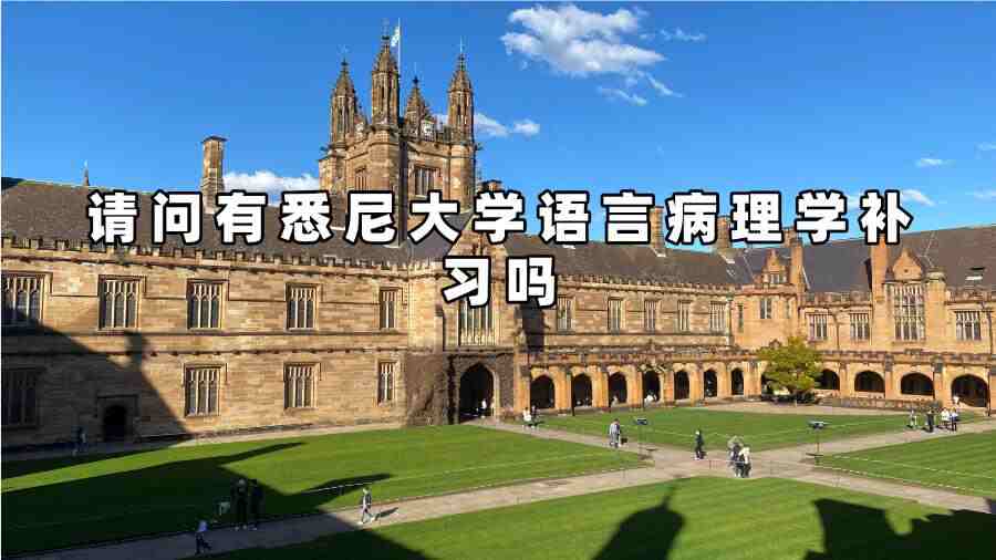 悉尼大学语言病理学补习