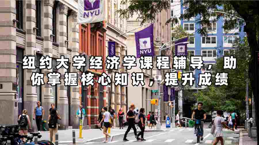 纽约大学经济学课程辅导，助你掌握核心知识，提升成绩